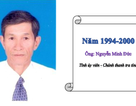 3-0-NguyenMinhDuc-1994-2000-2.png